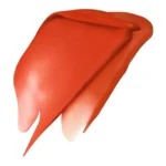 L'Oréal Infaillible Matte Resistance 16h Lipstick 300 Sun Bathing