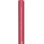 L'Oréal Crayon Contour des Lèvres Color Riche 302 Bois de Rose