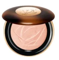 Boîtier compact de fard à joues rose, avec couvercle brun et bordure dorée